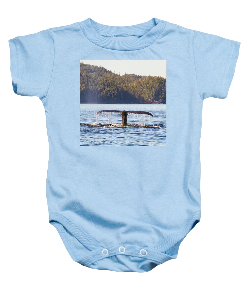 Whale Tale Baby Onesie featuring the photograph Whale Tale 2 by Michael Rauwolf
