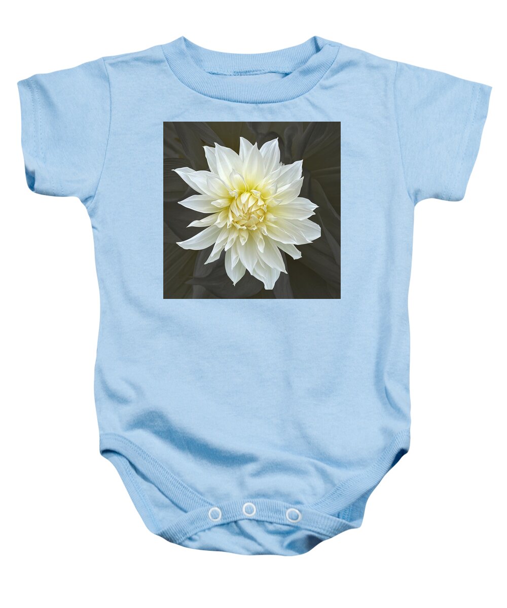 Dahlia Baby Onesie featuring the photograph White Cactus Dahlia by Jerry Abbott