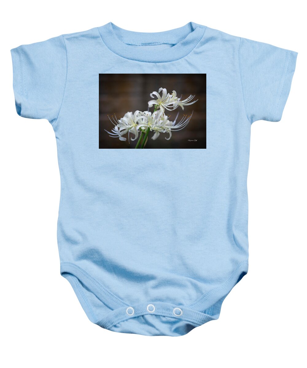 Photograph Baby Onesie featuring the photograph White Spider Lilies by Suzanne Gaff