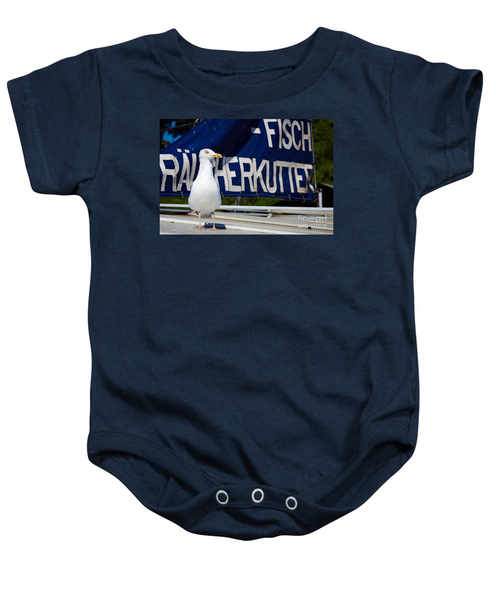 Closeup Baby Onesie featuring the photograph Closeup of a Seagull on a fisher boat #1 by Nick Biemans