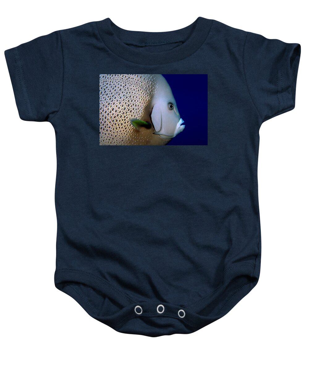 Angelfish Baby Onesie featuring the photograph Gray Angelfish Pomacanthus Arcuatus #1 by Charles Angelo