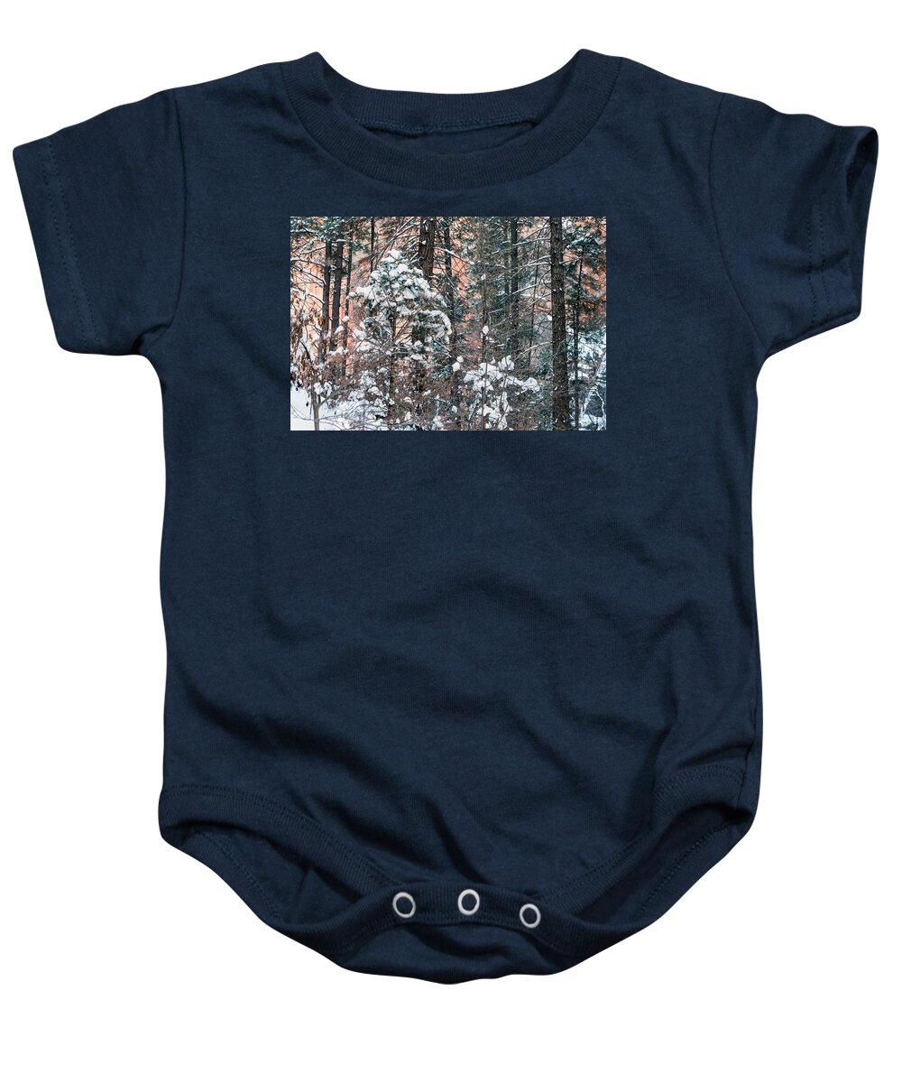 Snow Baby Onesie featuring the photograph West Fork Snow #1 by Tam Ryan