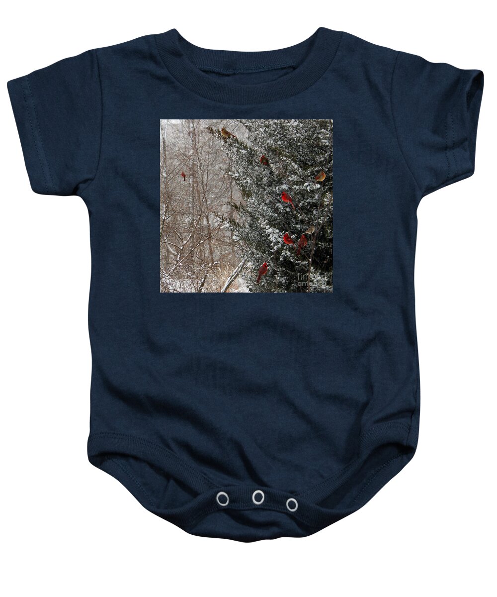 Winter Baby Onesie featuring the photograph Cardinals in Winter 1 Square by Karen Adams