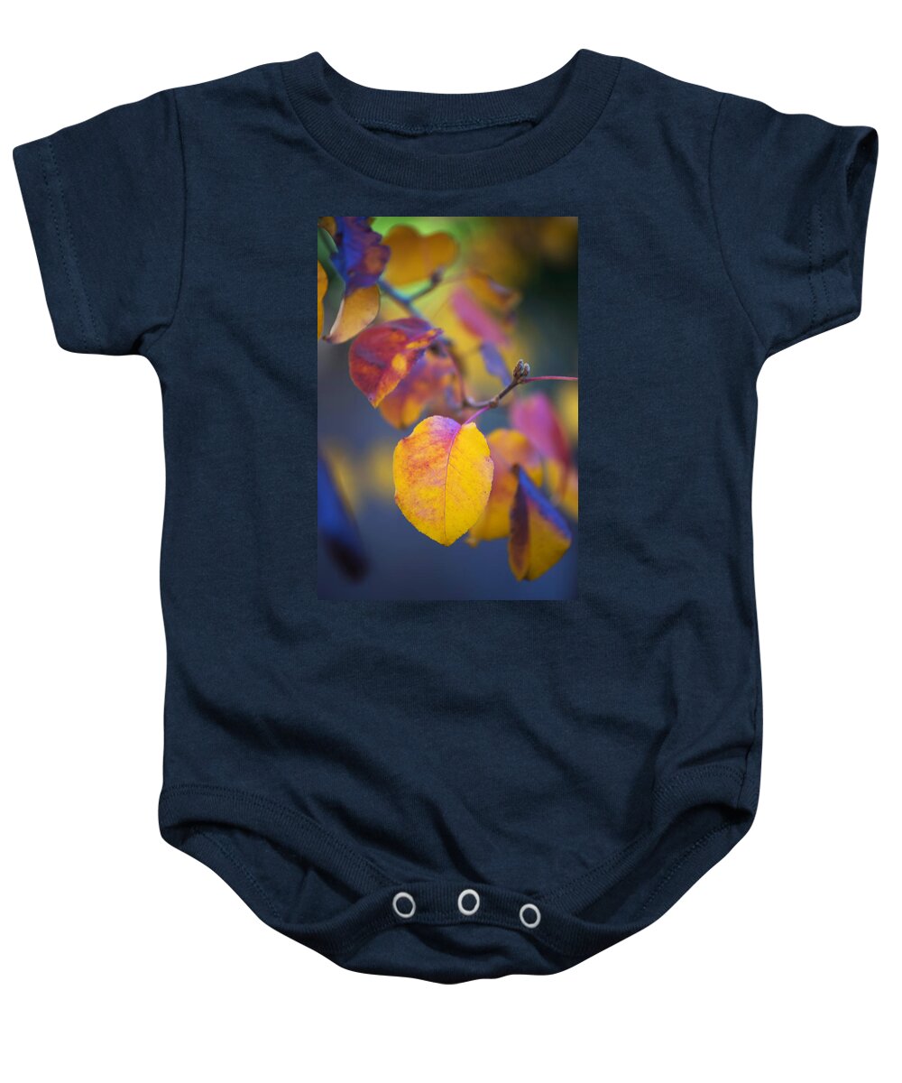 Foliage Baby Onesie featuring the photograph Fall Color by Stephen Anderson