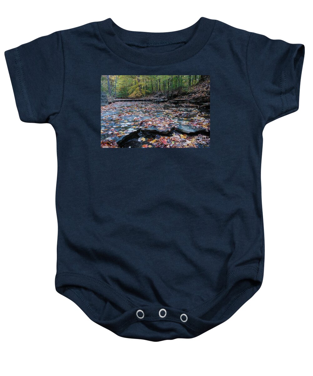 Landscape Baby Onesie featuring the photograph Fall leaves in the creek by Paul Quinn
