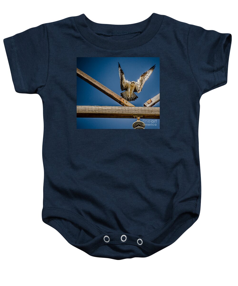 Osprey Baby Onesie featuring the photograph Hard Landing by Dale Powell