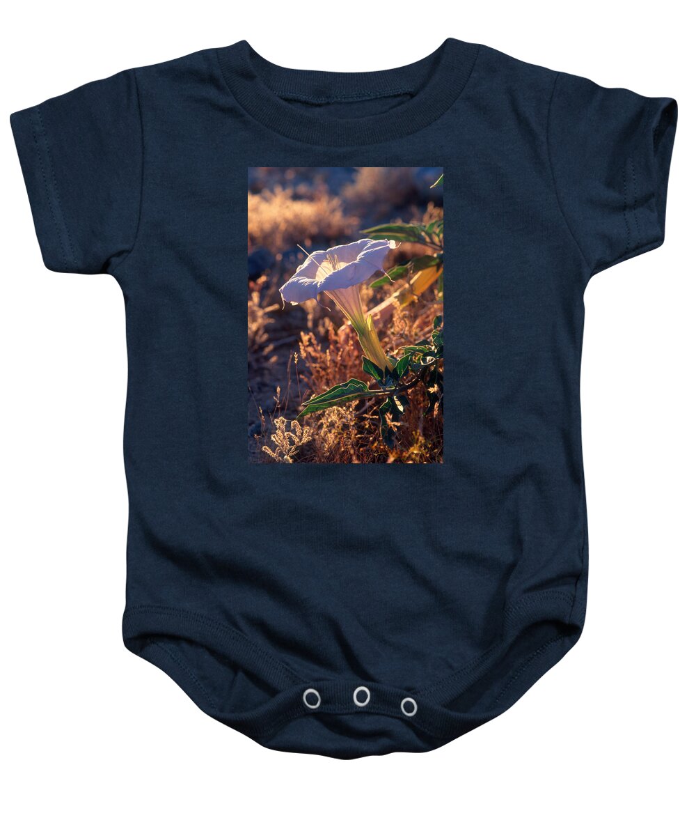 Botany Baby Onesie featuring the photograph Jimson Weed by James Steinberg