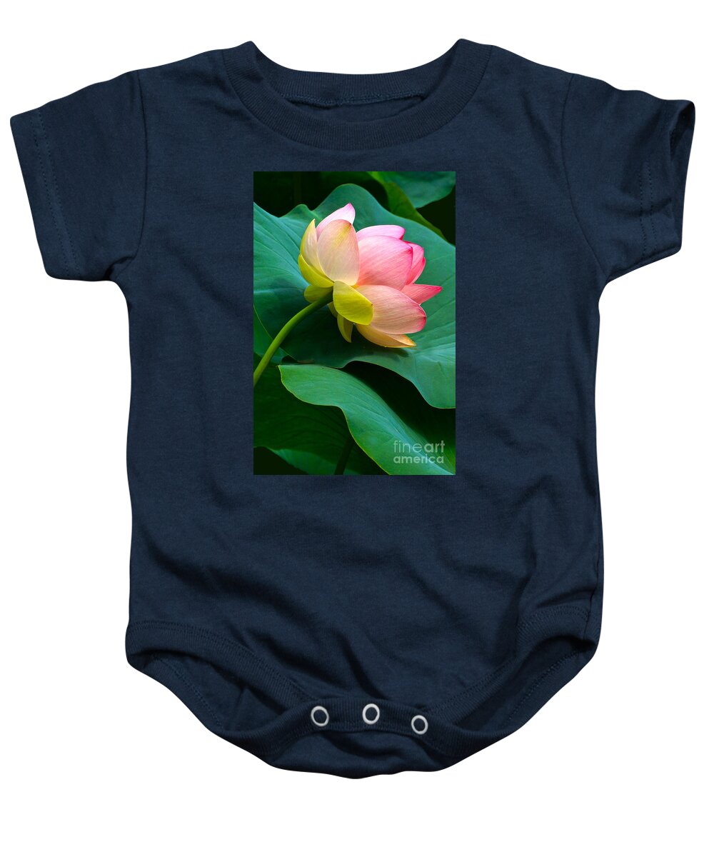 Lotus Blossom And Leaves Baby Onesie featuring the photograph Lotus Blossom And Leaves by Byron Varvarigos