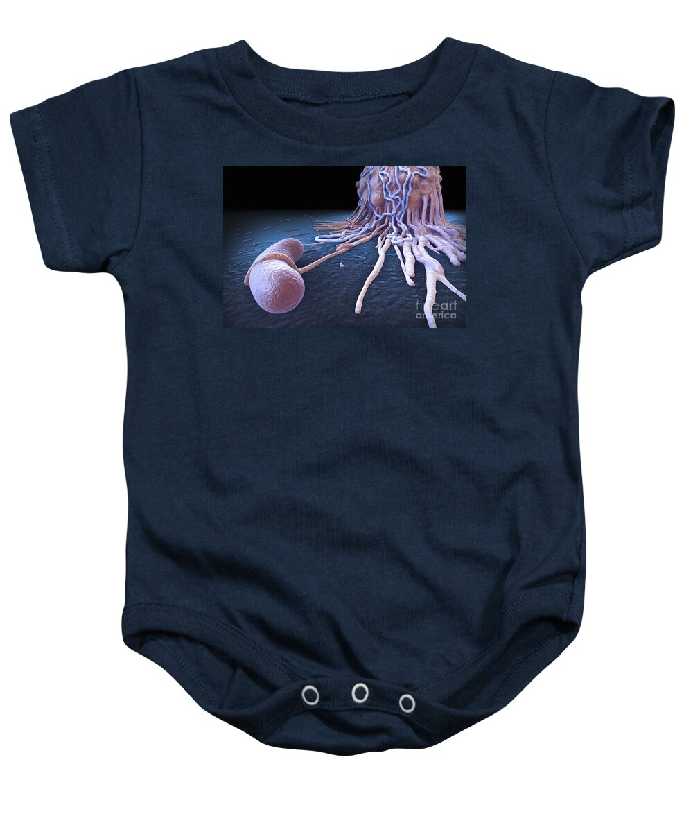 Cells Baby Onesie featuring the photograph Macrophage Fighting Bacteria by Science Picture Co