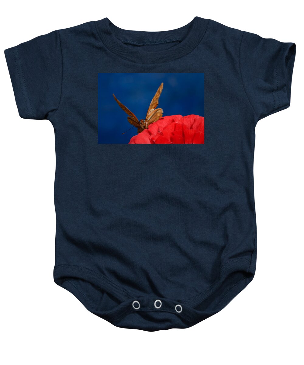 Blue Bug Baby Onesie featuring the photograph Peek A Boo by Beth Sargent