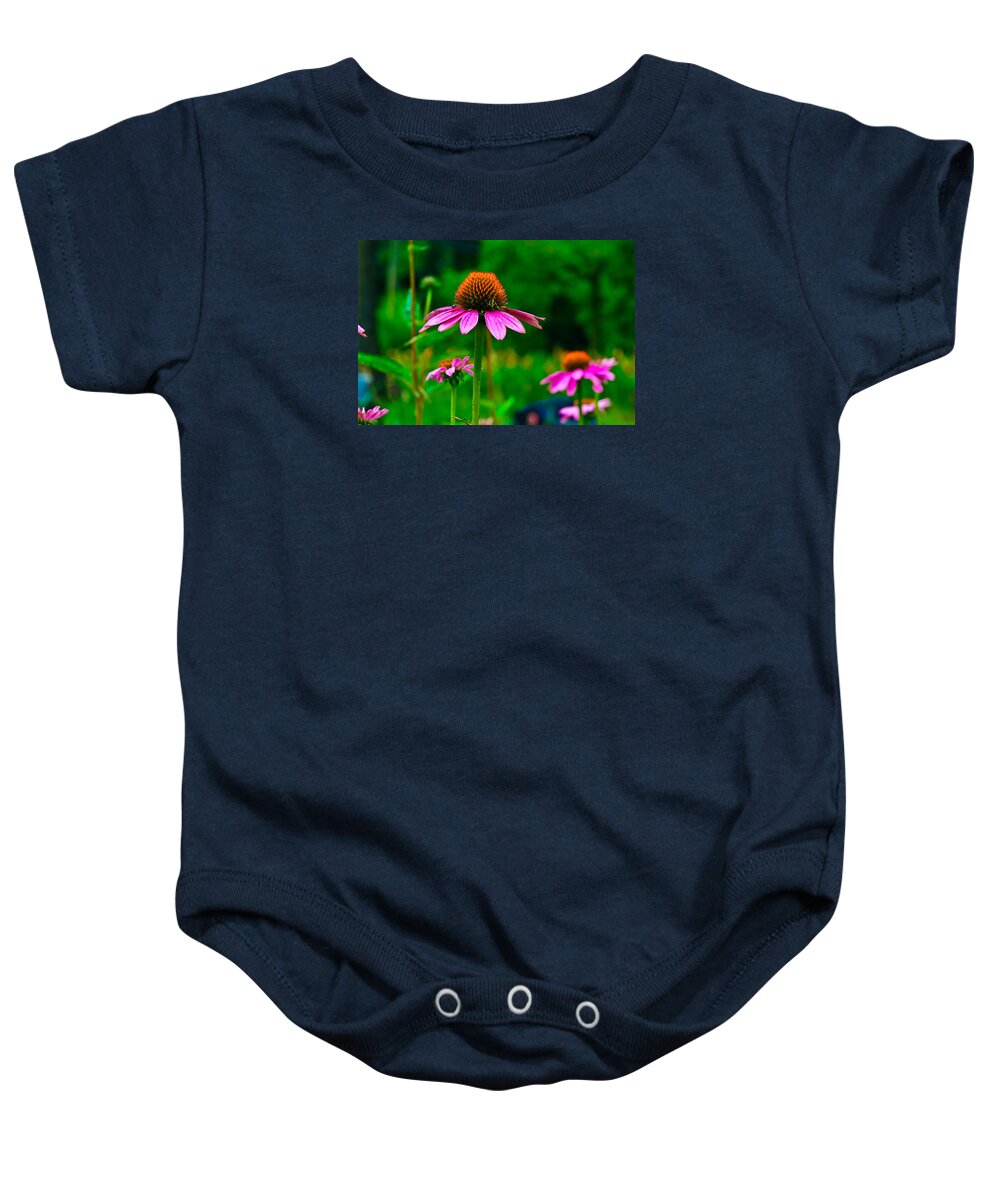 Flowers/plants Baby Onesie featuring the photograph Purple Coneflower by Louis Dallara