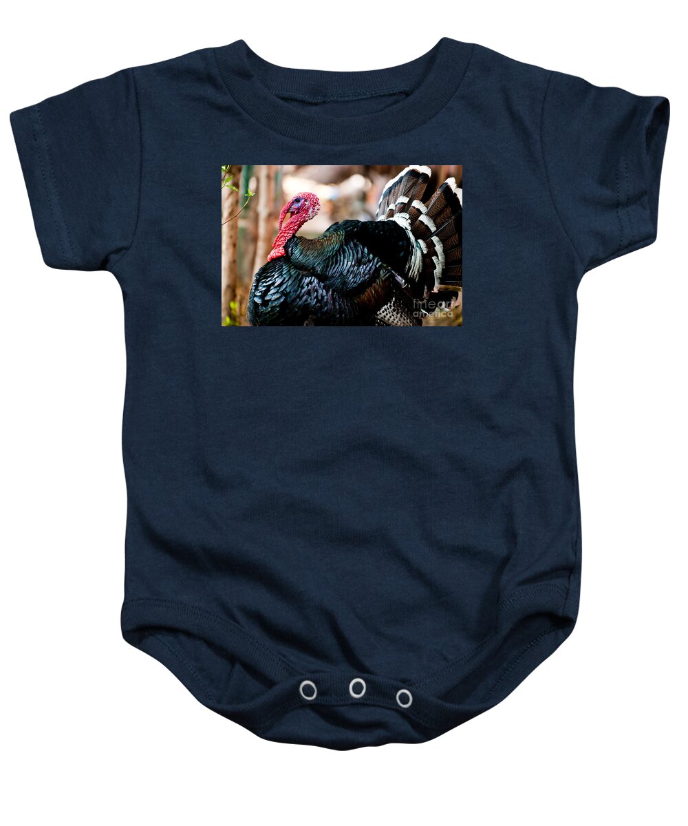 Turkey Baby Onesie featuring the photograph Senior Citizen by Syed Aqueel