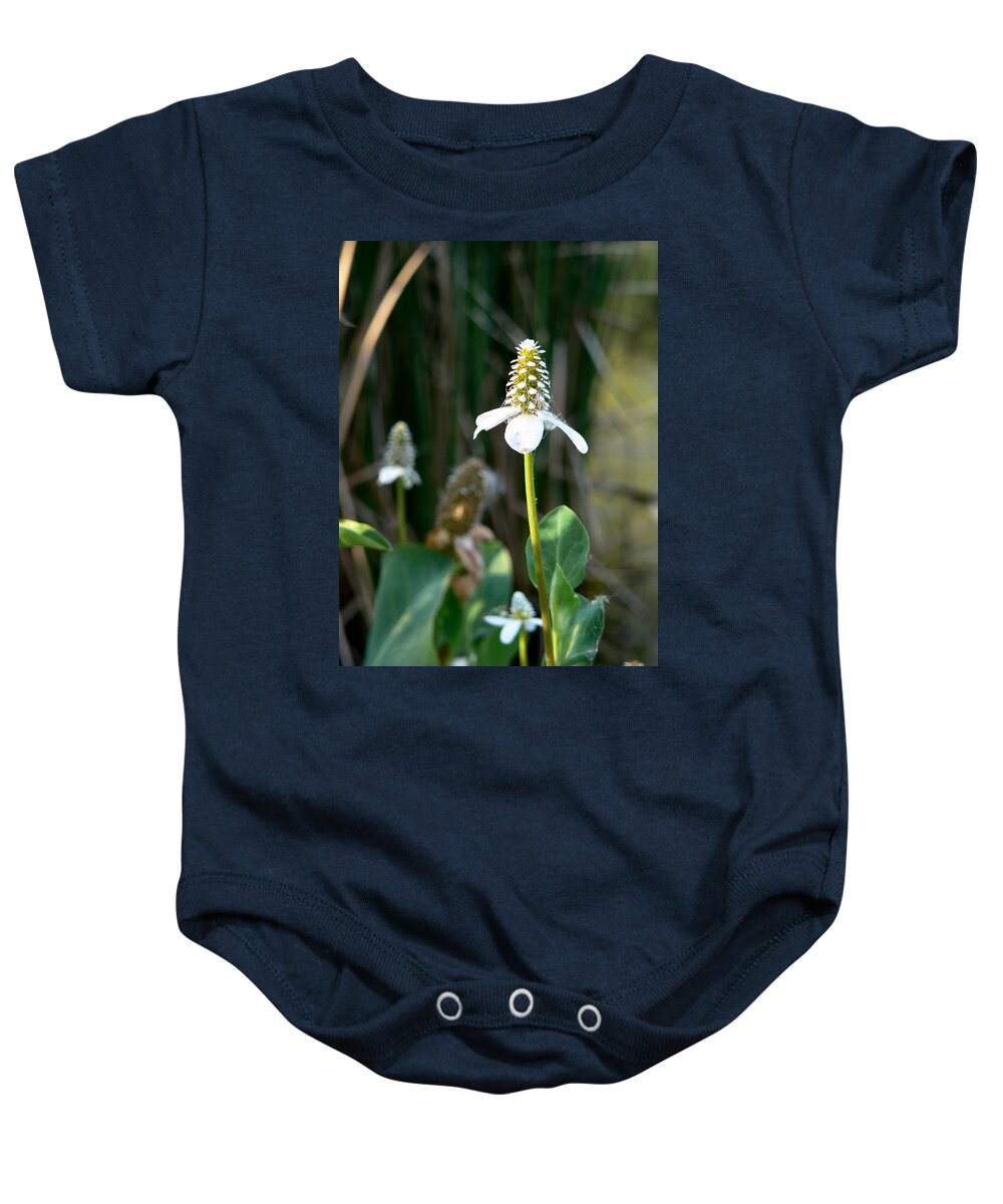 Flower Baby Onesie featuring the photograph Simple Flower by Laurel Powell