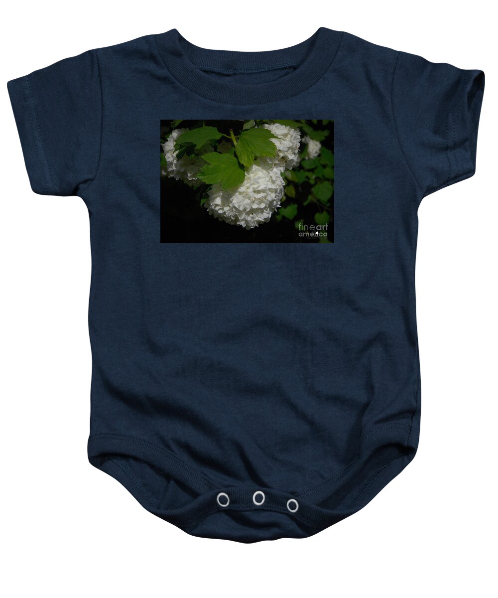 Eaton Rapids Baby Onesie featuring the photograph Snowball Blossoms by Grace Grogan