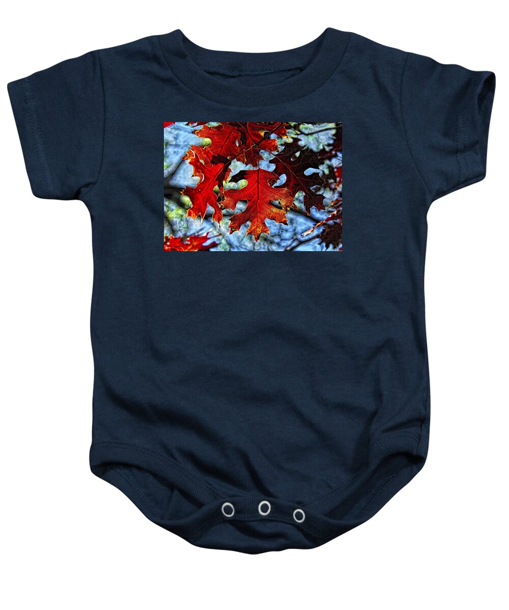 Fall Colors Canvas Print Baby Onesie featuring the photograph Stained Glass by Lucy VanSwearingen