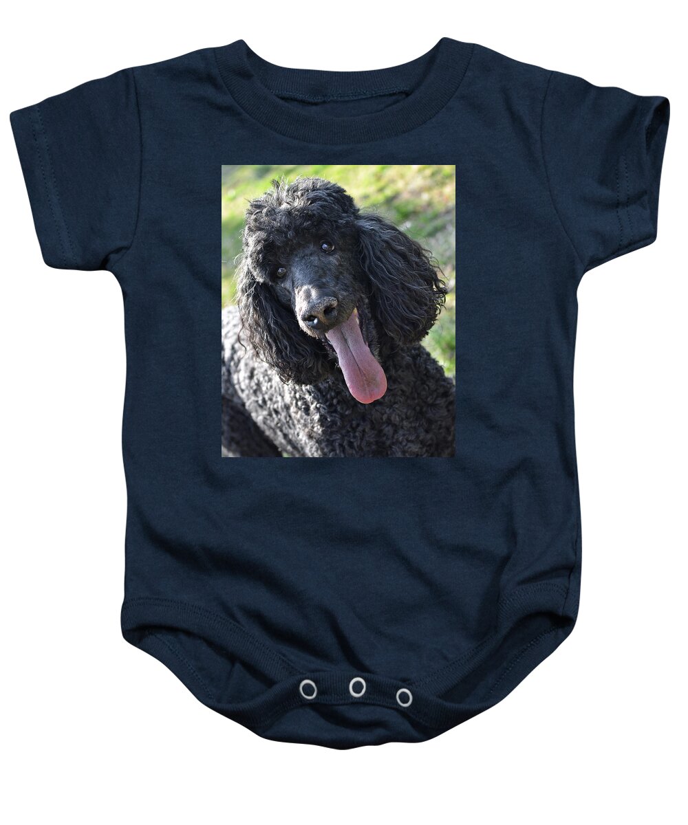 Standard Poodle Baby Onesie featuring the photograph Standard Poodle by Lisa Phillips