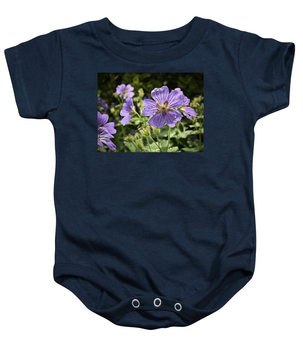 Nature Baby Onesie featuring the photograph Sun bathed Geranium by Spikey Mouse Photography