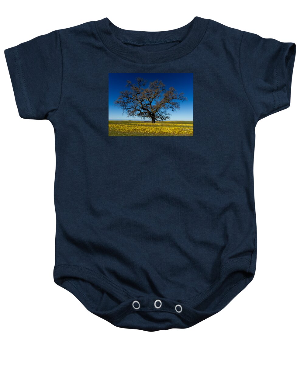 Wildflower Baby Onesie featuring the photograph THE Tree On Table Mountain by Robert Woodward