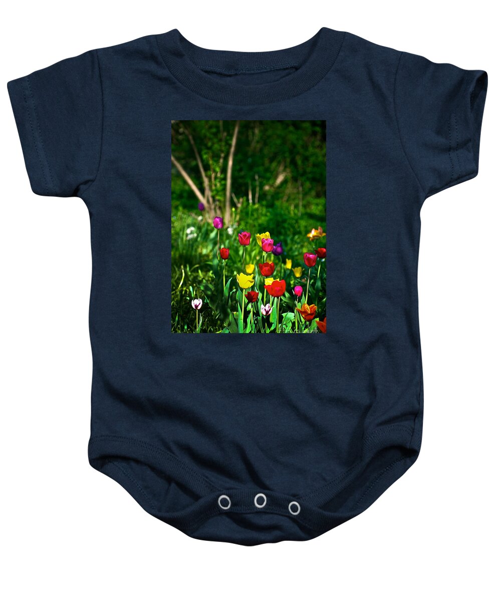 Ranibow Baby Onesie featuring the photograph Tulip Rainbow by Frank J Casella