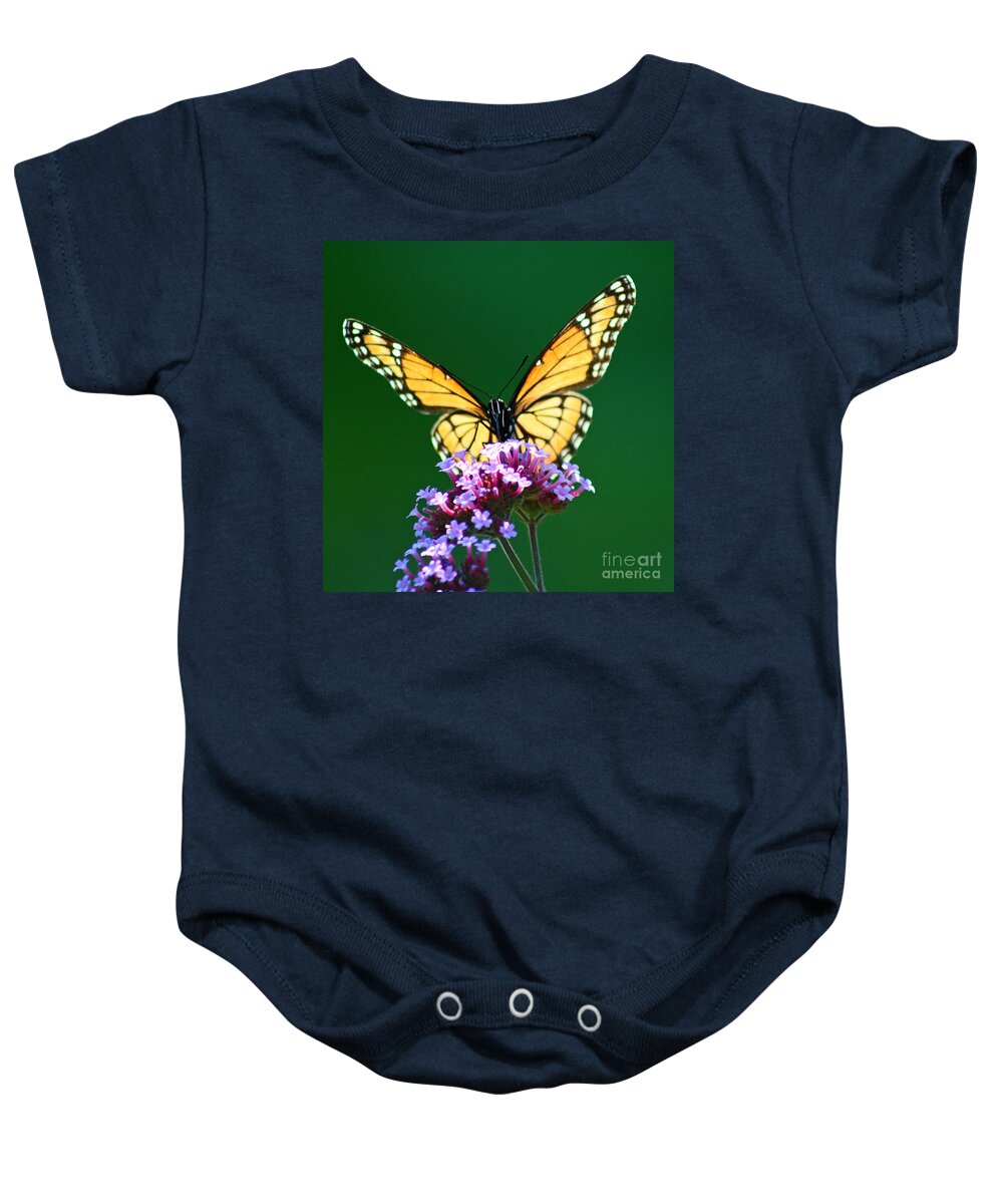 Butterfly Baby Onesie featuring the photograph Viceroy Butterfly Square by Karen Adams