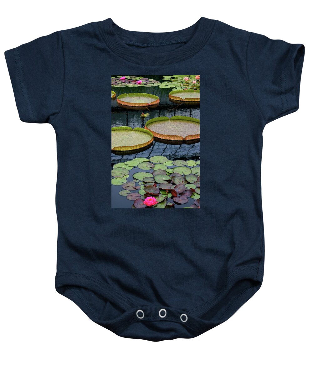 Aquatic Plants Baby Onesie featuring the photograph Waterlilies and Platters 2 by Byron Varvarigos