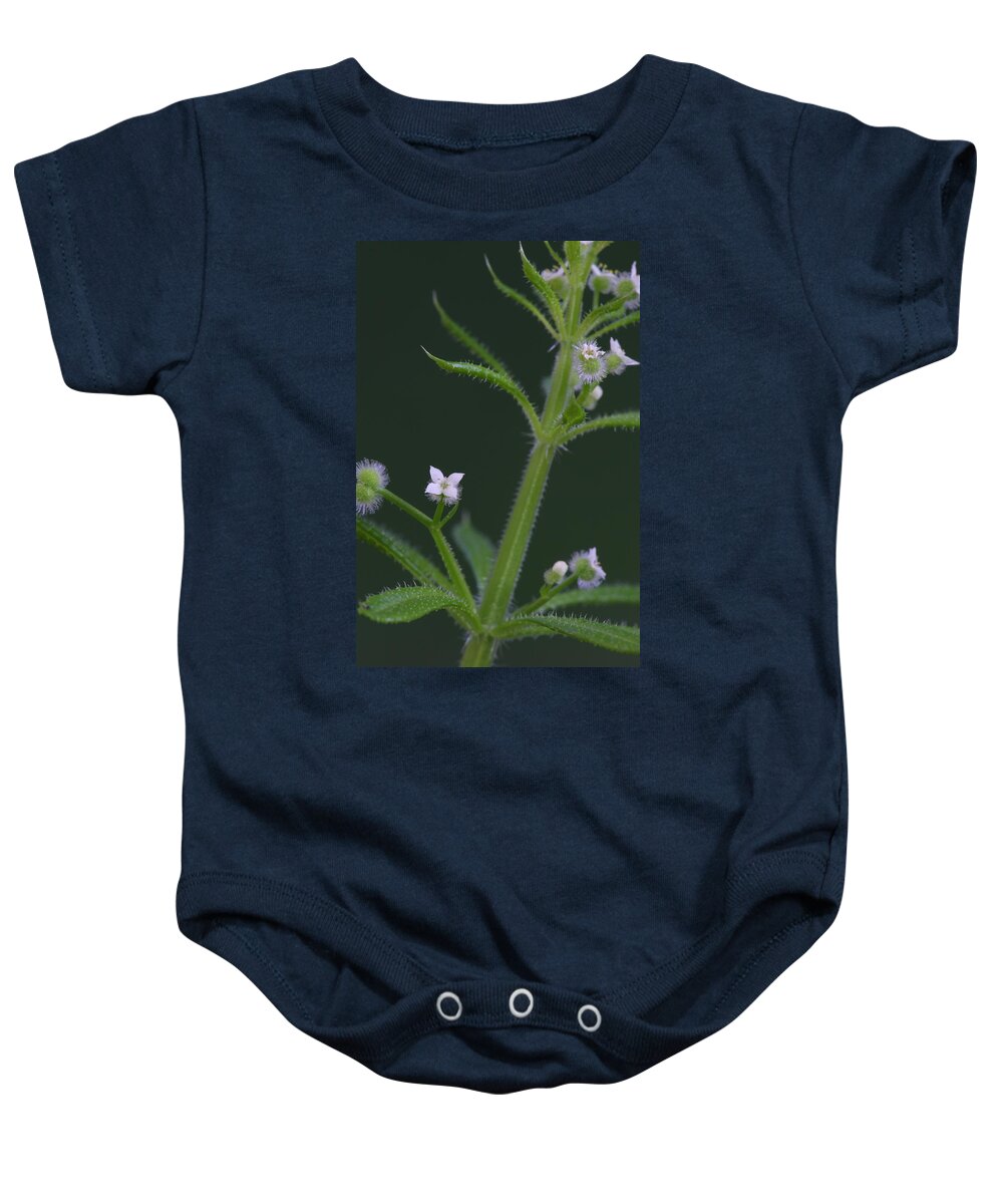 Cleavers Baby Onesie featuring the photograph Cleavers by Daniel Reed