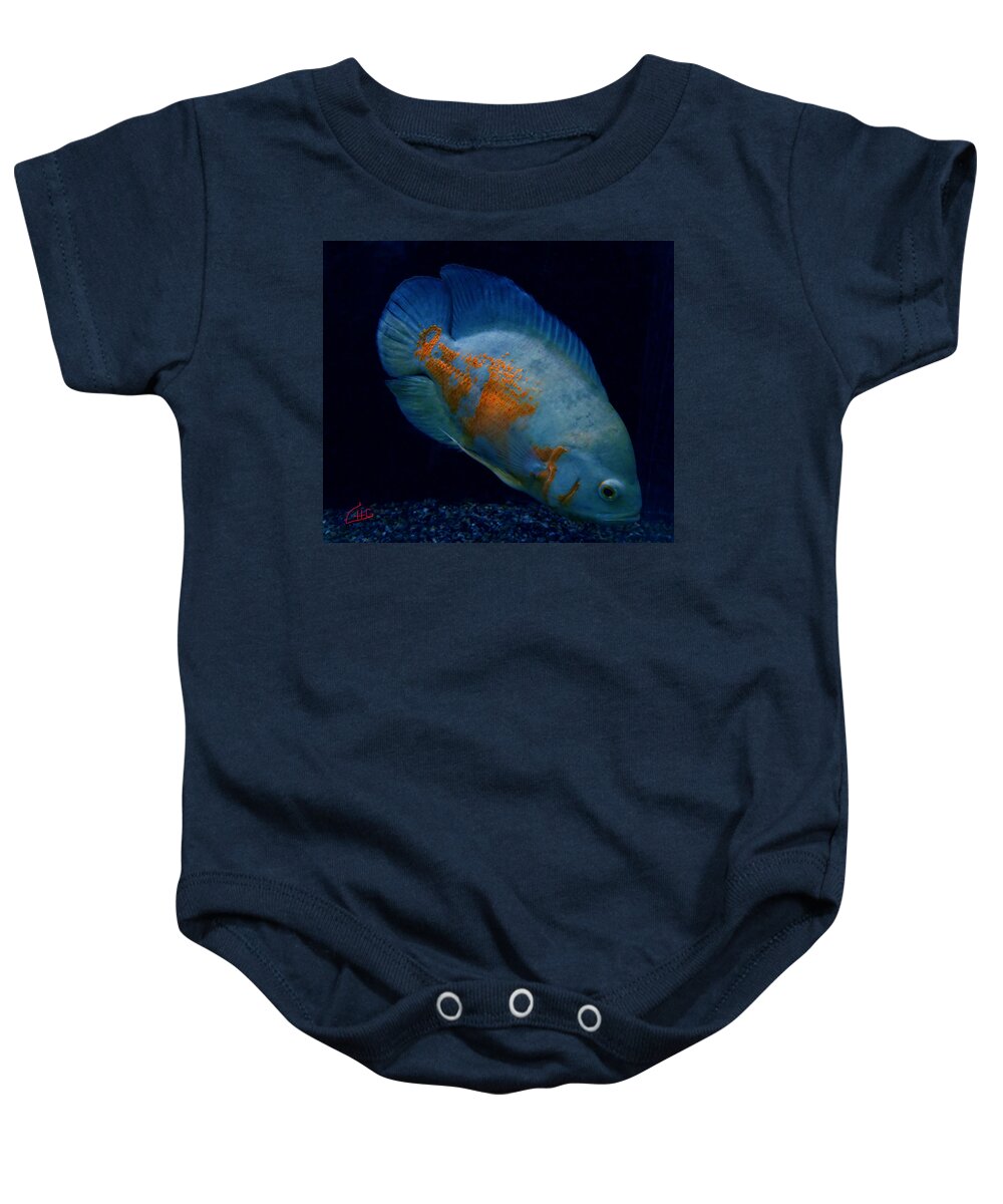 Ccolette Baby Onesie featuring the photograph Magic Fish Name Oscar by Colette V Hera Guggenheim