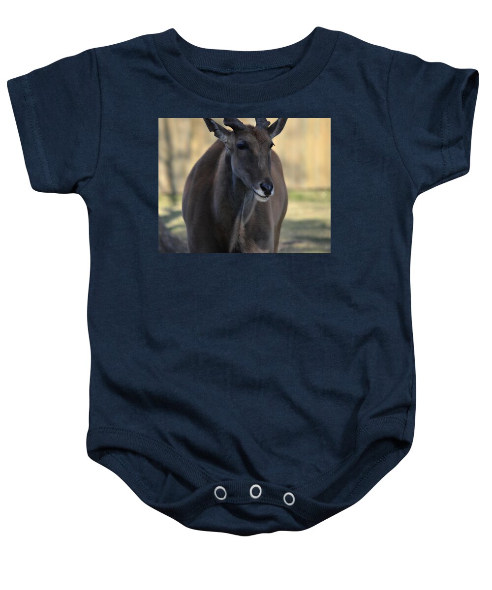 Eland Baby Onesie featuring the photograph Portrait Eland by Maggy Marsh