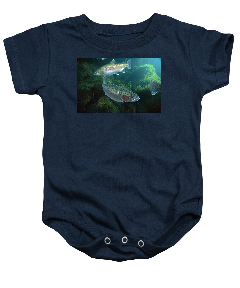 00640118 Baby Onesie featuring the photograph Rainbow Trout Pair by Michael Durham