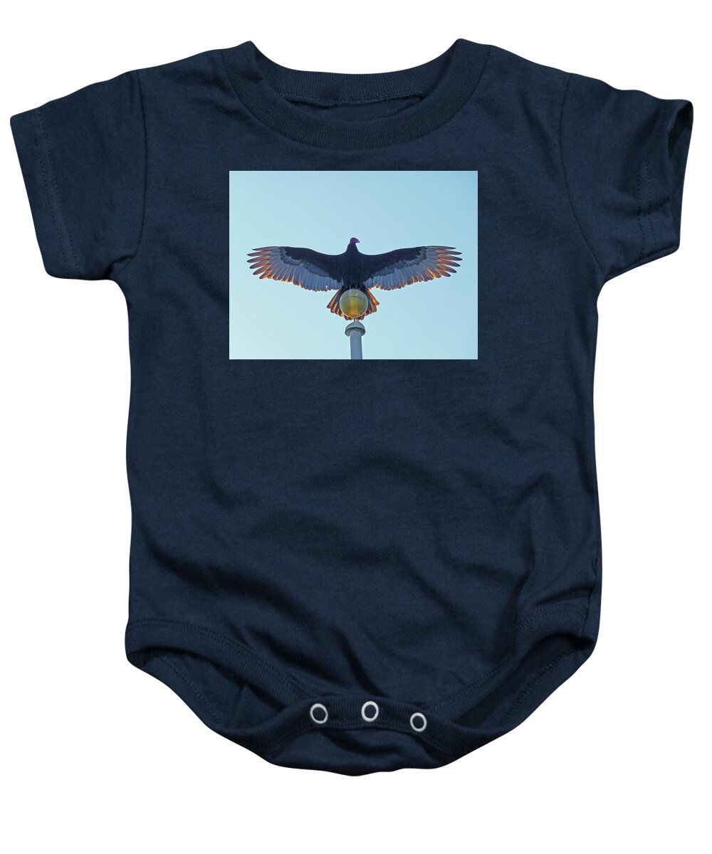 Turkey Vulture Baby Onesie featuring the photograph DB6347 Turkey Vulture on our Flagpole #1 by Ed Cooper Photography