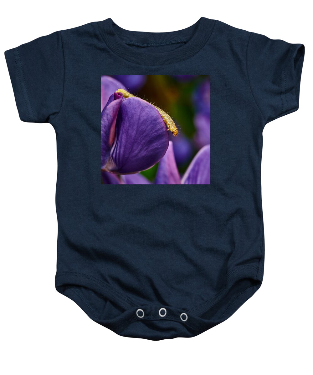 Finland Baby Onesie featuring the photograph Dreaming of wings #1 by Jouko Lehto