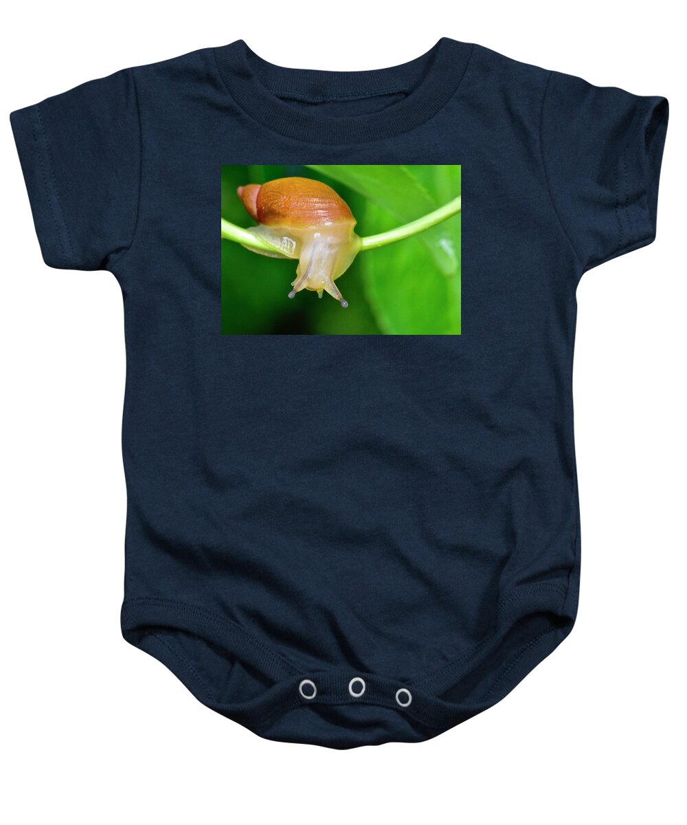 Wall Art Baby Onesie featuring the photograph Morning Snail #1 by Jeffrey PERKINS