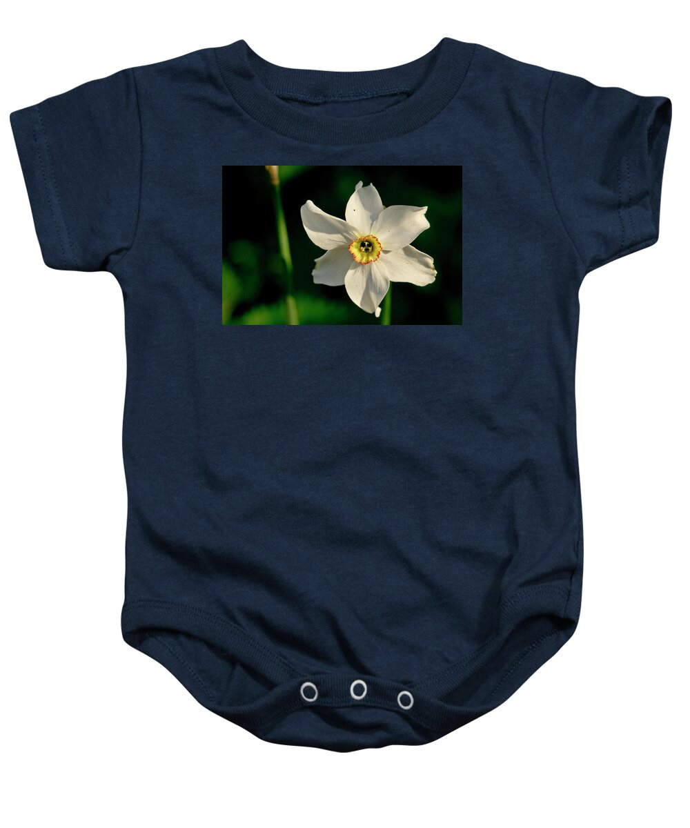 Forest Baby Onesie featuring the photograph Afternoon of Narcissus Poeticus. by Elena Perelman