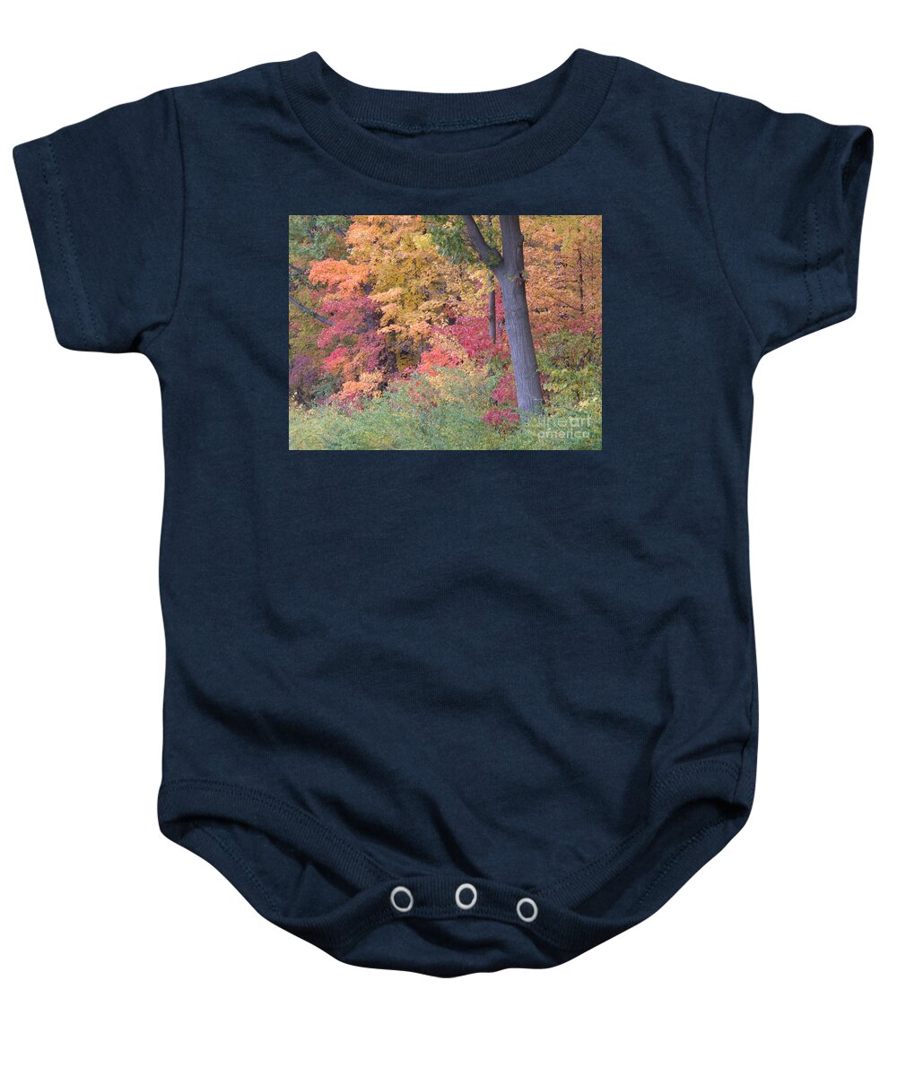 Autumn Baby Onesie featuring the photograph Autumn Impression by Ann Horn