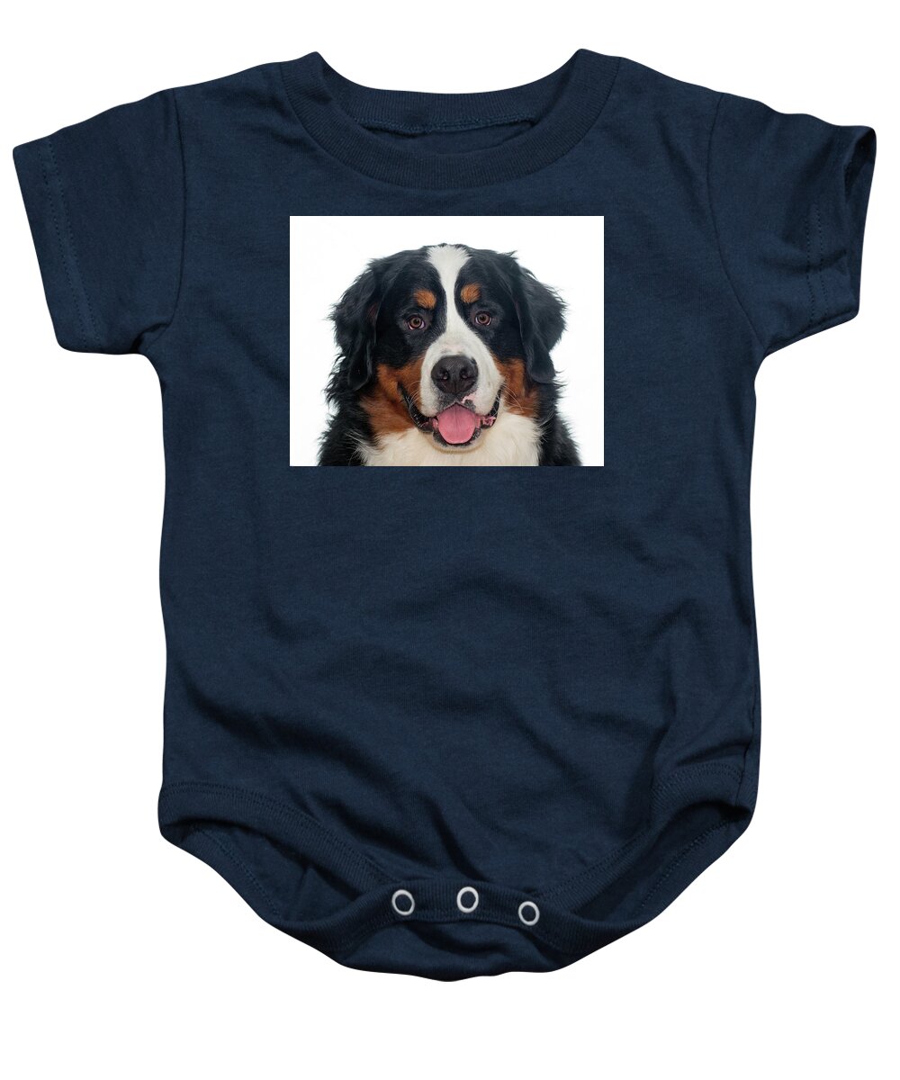 Bernese Mountain Dog Baby Onesie featuring the pyrography Badger by Jim Zablotny