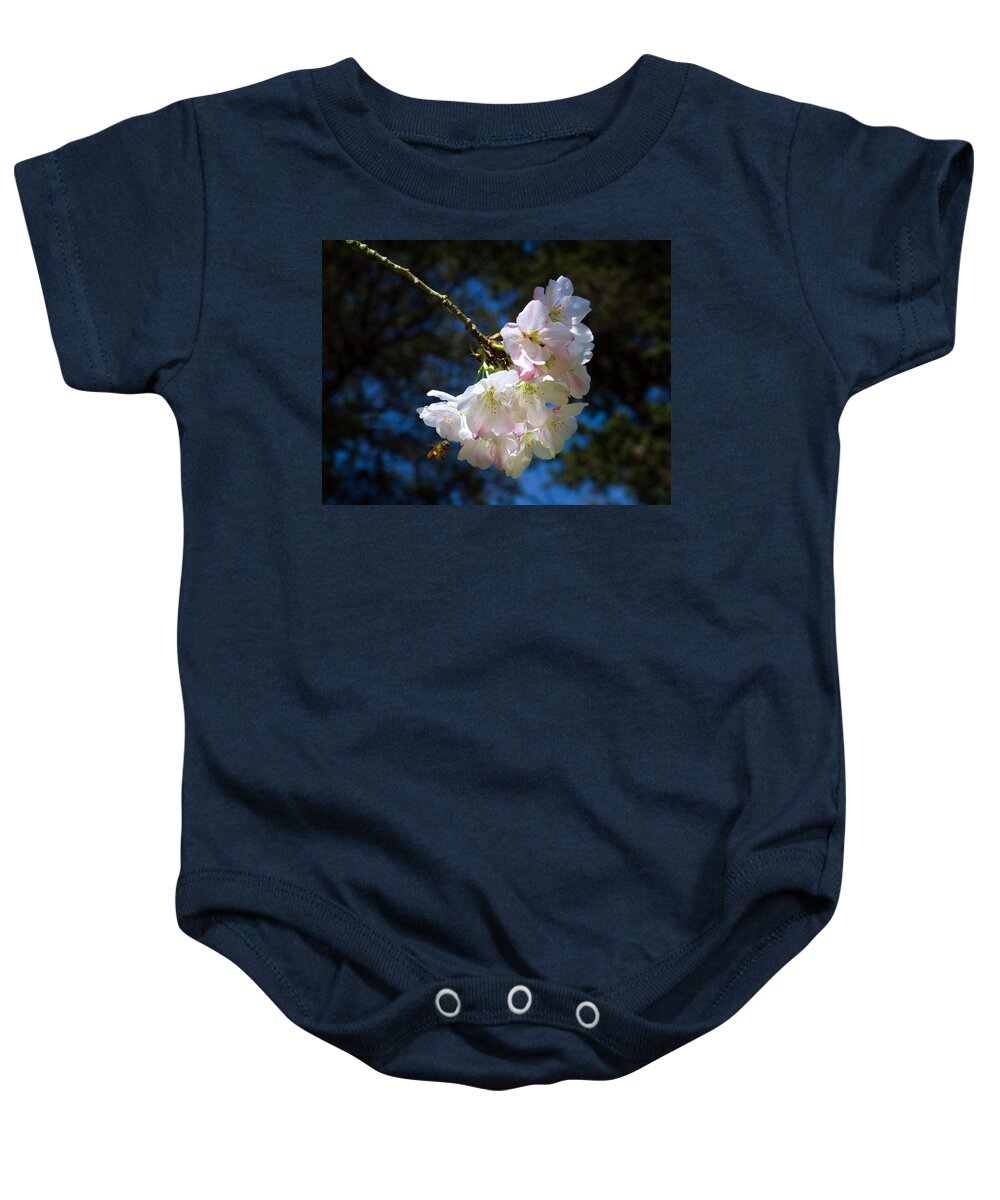 Cherry Blossoms And Bee Baby Onesie featuring the photograph Cherry Blossoms and Bee by Bonnie Follett
