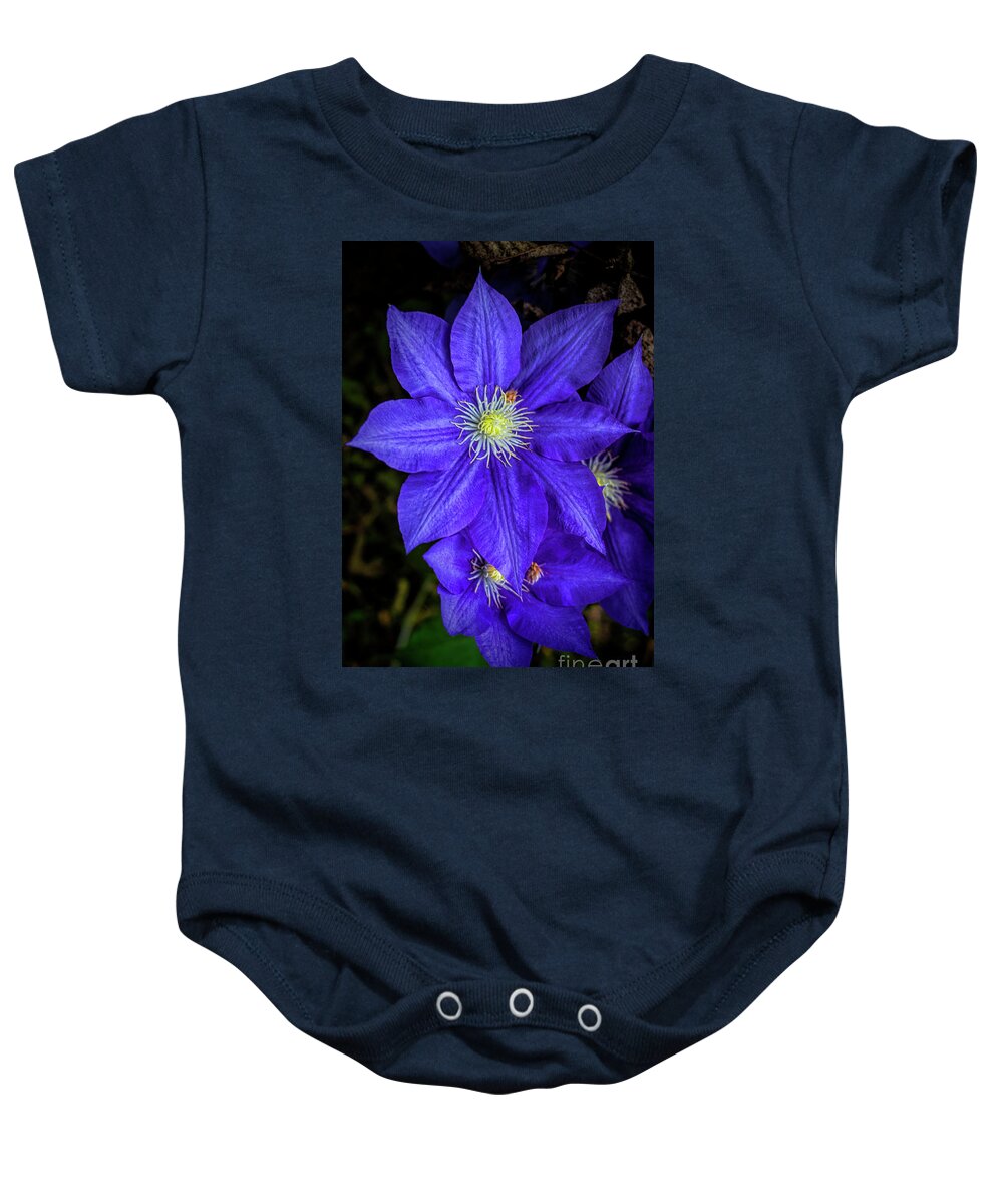 Flora Baby Onesie featuring the photograph Color Me Purple #2 by Dave Bosse