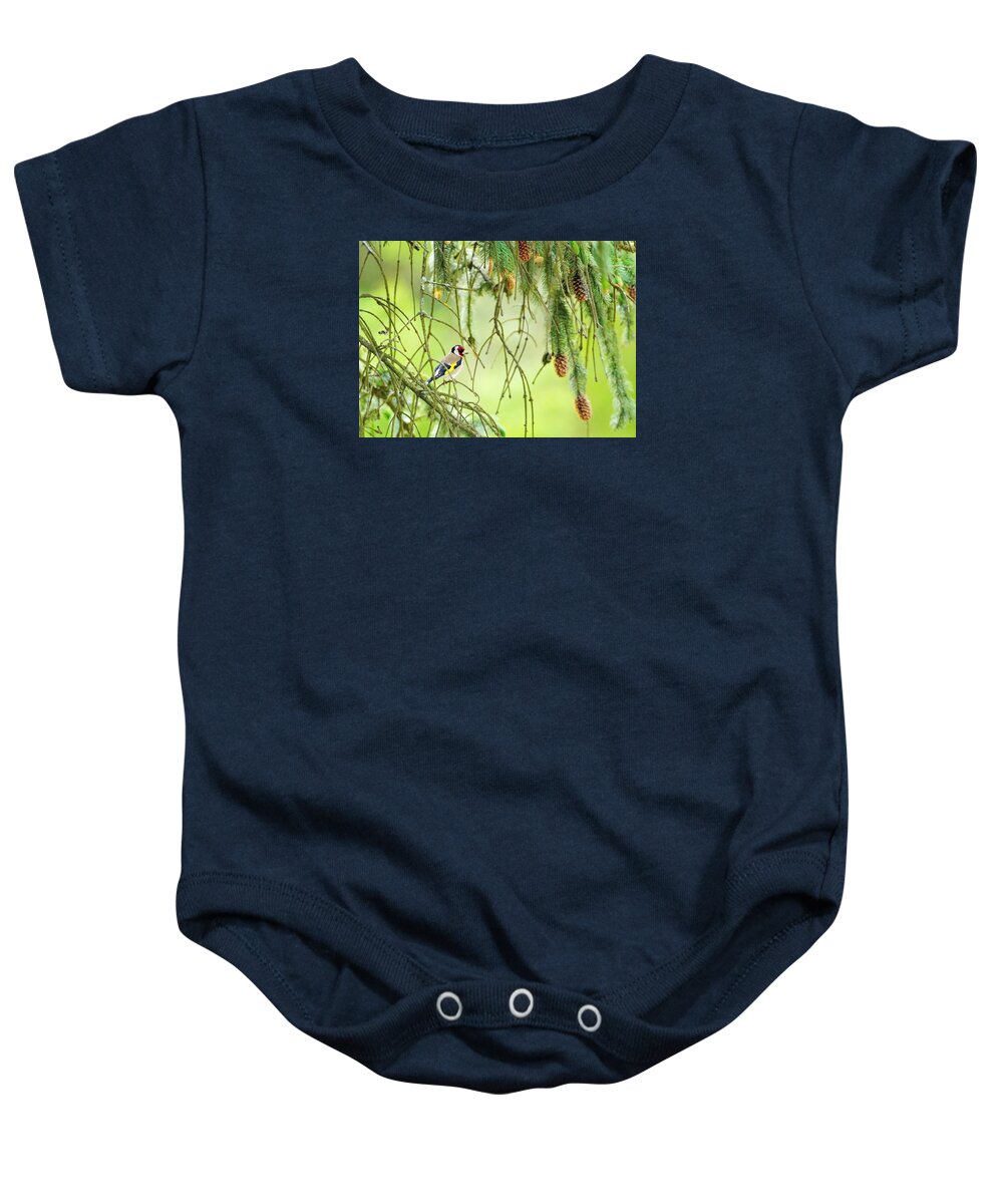 Goldfinch Baby Onesie featuring the photograph European goldfinch, carduelis carduelis by Elenarts - Elena Duvernay photo