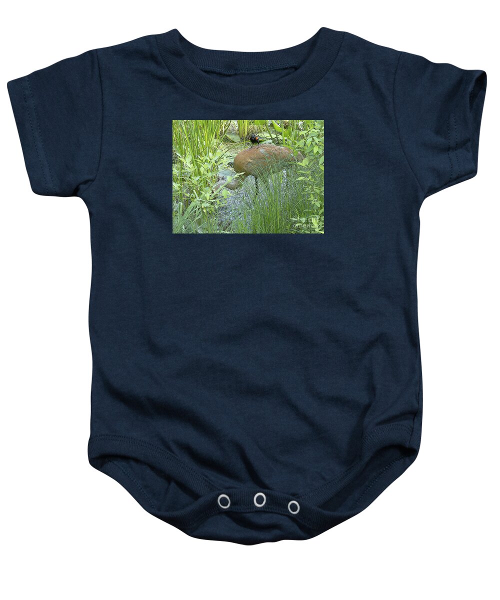 Birds Baby Onesie featuring the photograph Free Ride by Ann Horn