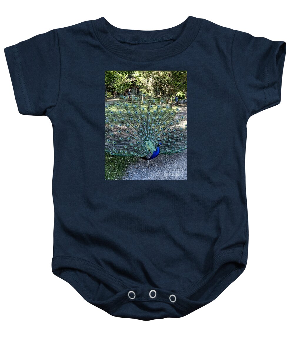 Peacock Baby Onesie featuring the photograph In all His Glory by Brenda Kean
