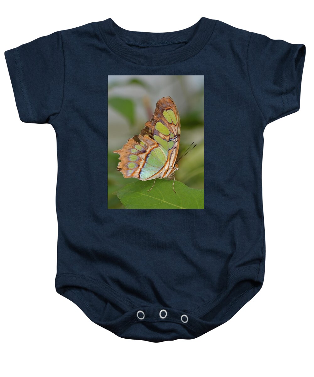 Butterfly Baby Onesie featuring the photograph Malachite Butterfly on a Leaf by Artful Imagery