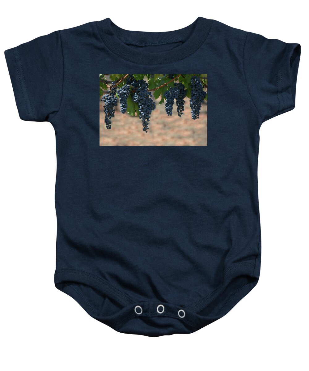 Grapes Baby Onesie featuring the photograph Merlot by Carolyn Mickulas