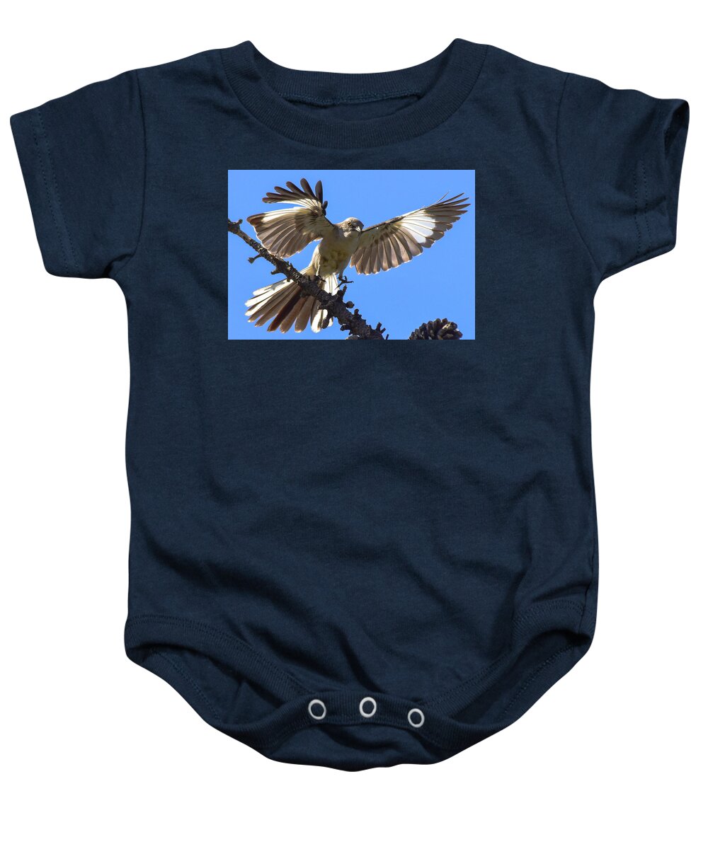 Linda Brody Baby Onesie featuring the photograph Mockingbird Sees Me I by Linda Brody