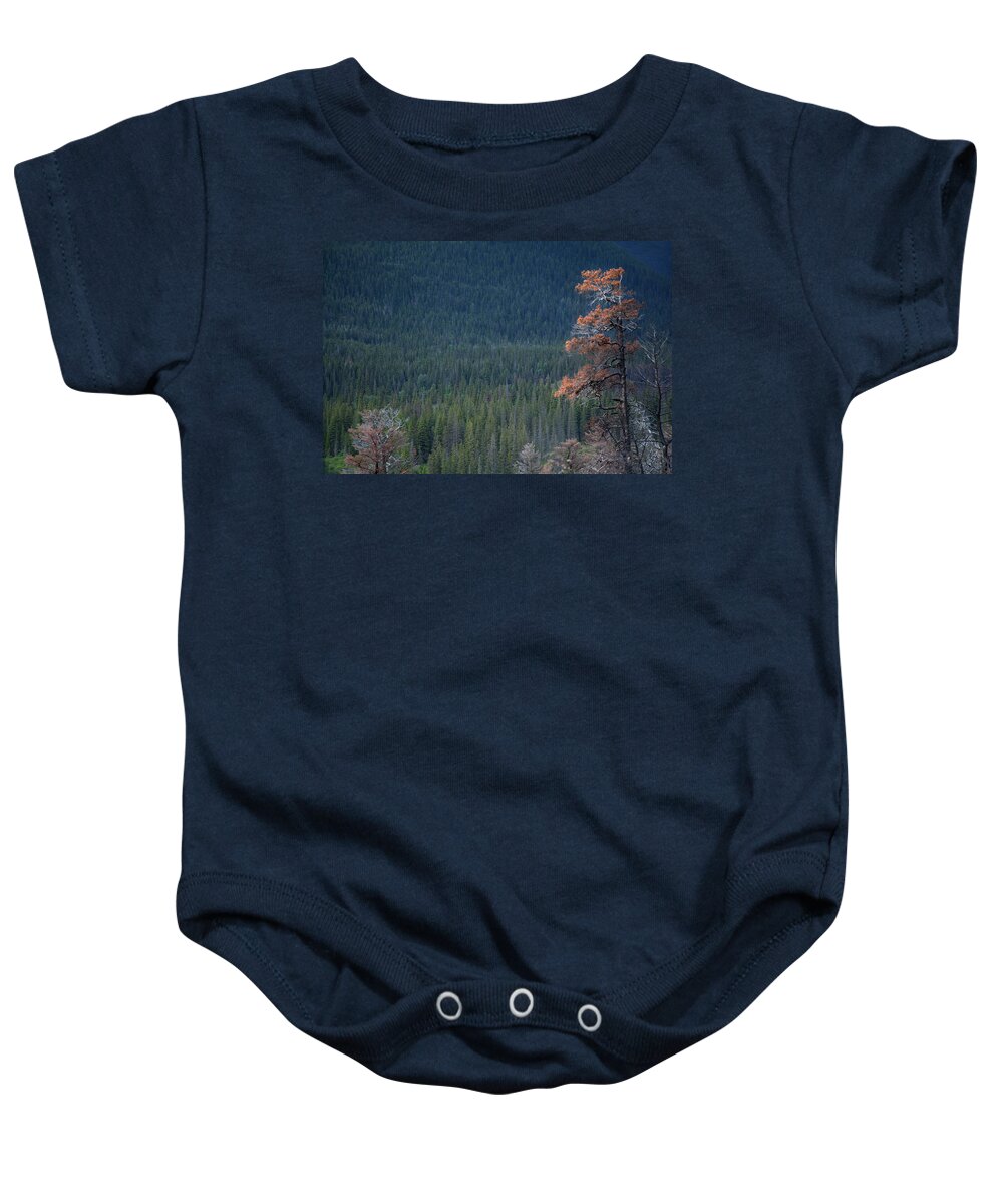 Trees Baby Onesie featuring the photograph Montana Tree Line by David Chasey