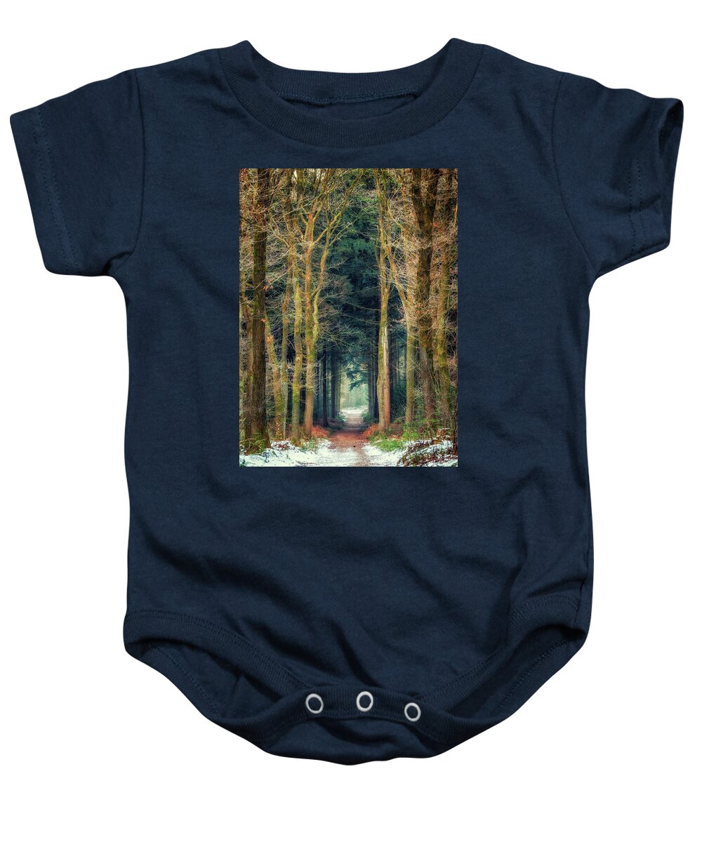 Bergherbos Baby Onesie featuring the photograph Path through Bergherbos forest by Tim Abeln