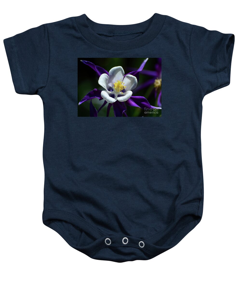 Flowers Baby Onesie featuring the photograph Purple Columbine by Cindy Manero