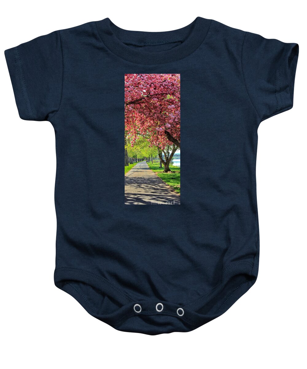 Riverfront Park Baby Onesie featuring the photograph Stroll In The Park by Geoff Crego