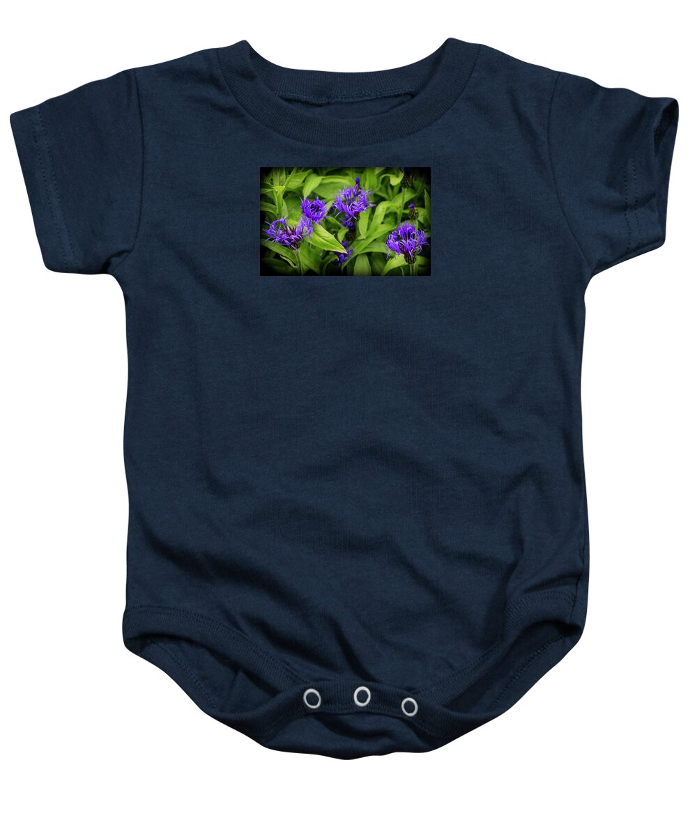 Flowers Baby Onesie featuring the photograph Wild Cornflowers in Iceland by Venetia Featherstone-Witty