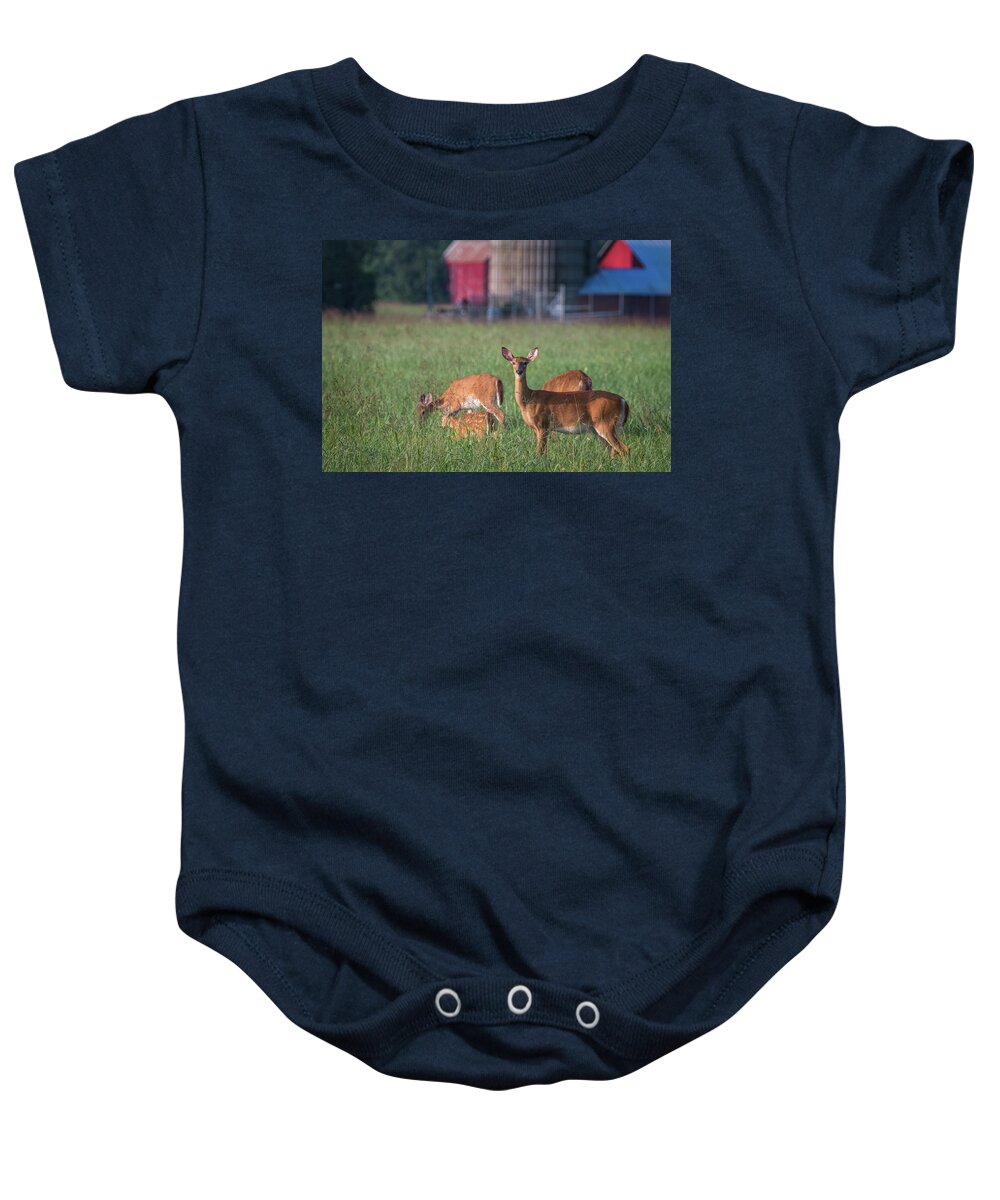 Photograph Baby Onesie featuring the photograph You Lookin' at Me? by Cindy Lark Hartman