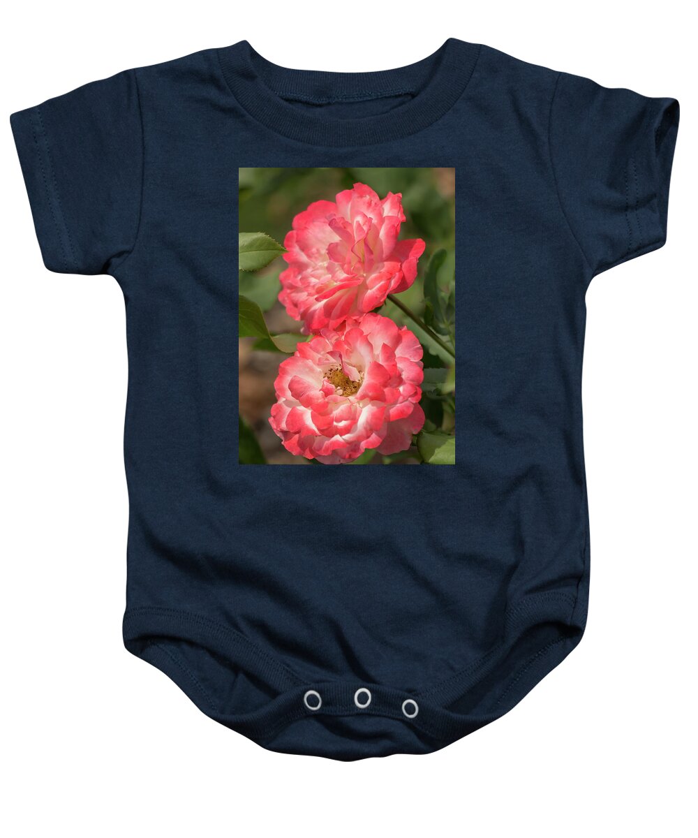 Rose Baby Onesie featuring the photograph Coral-and-White Roses by Dawn Cavalieri